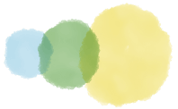 STS Logo